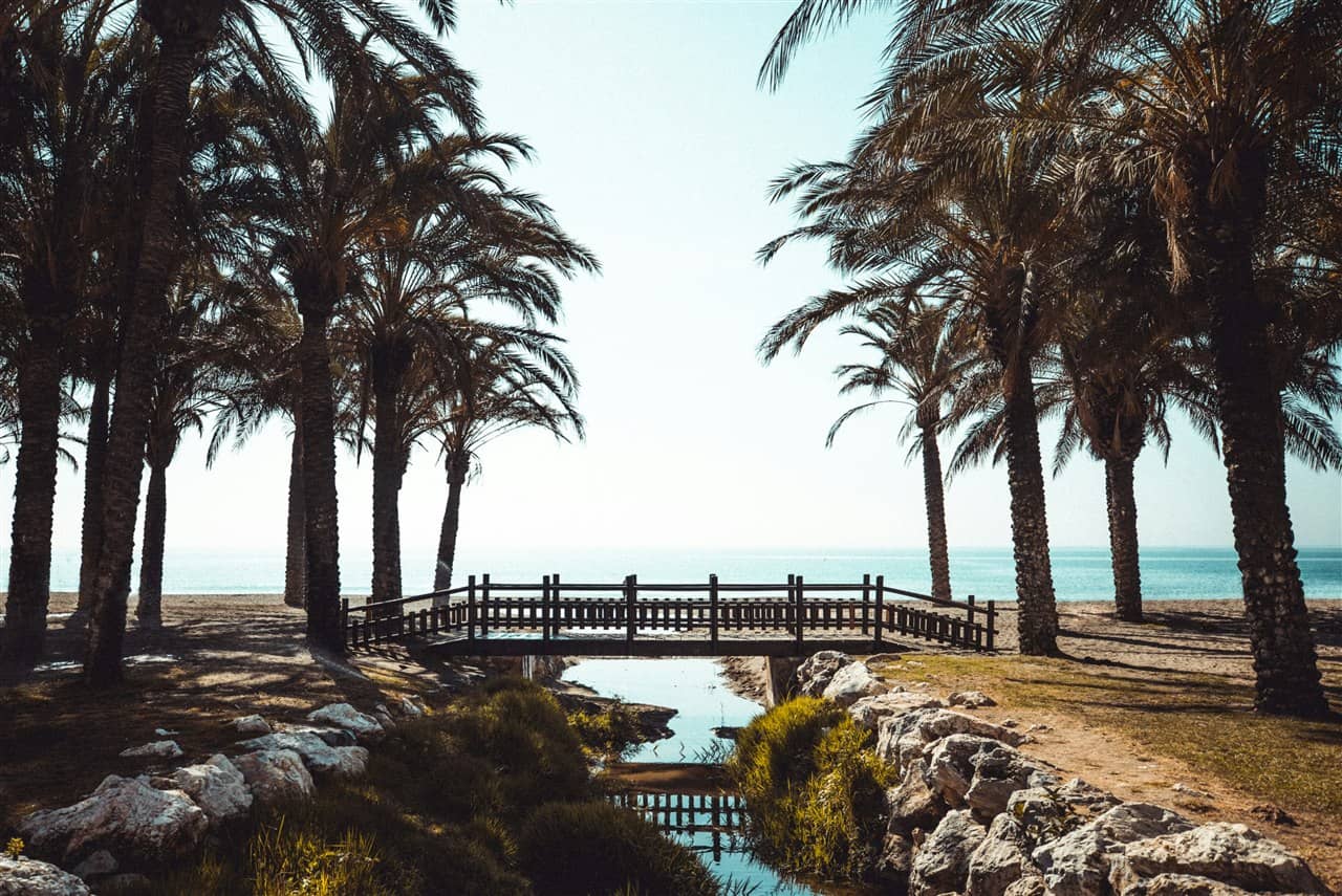 Passerelle en bois sur un ruisseau, entre les palmiers, au bord de la mer