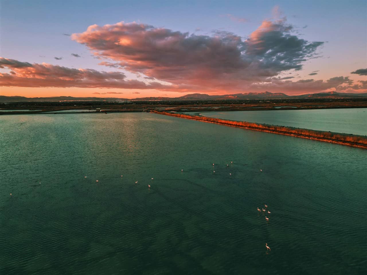 Flamencos en una laguna de las salinas al atardecer