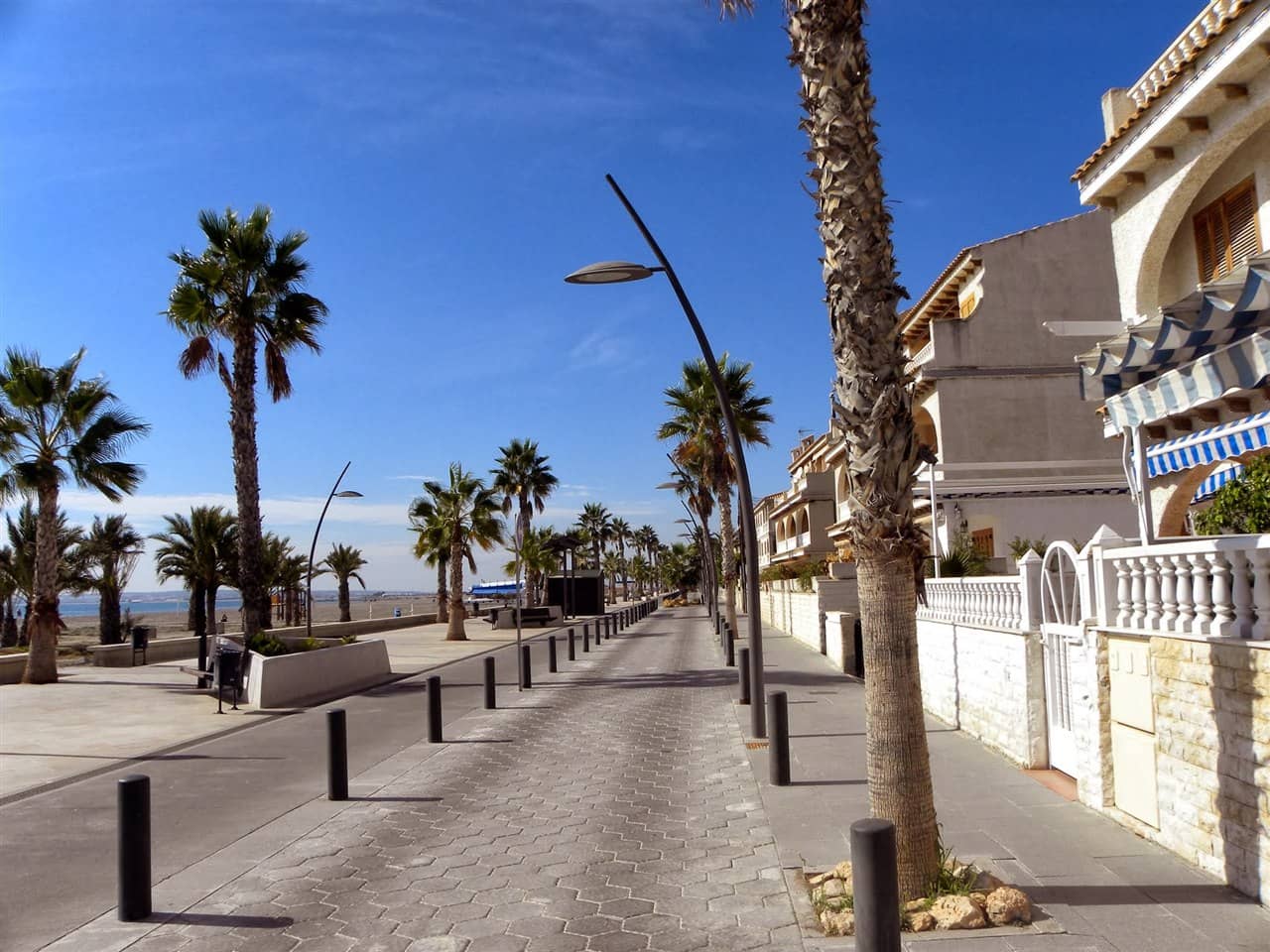 Paseo marítimo de Santa Pola con palmeras y edificios