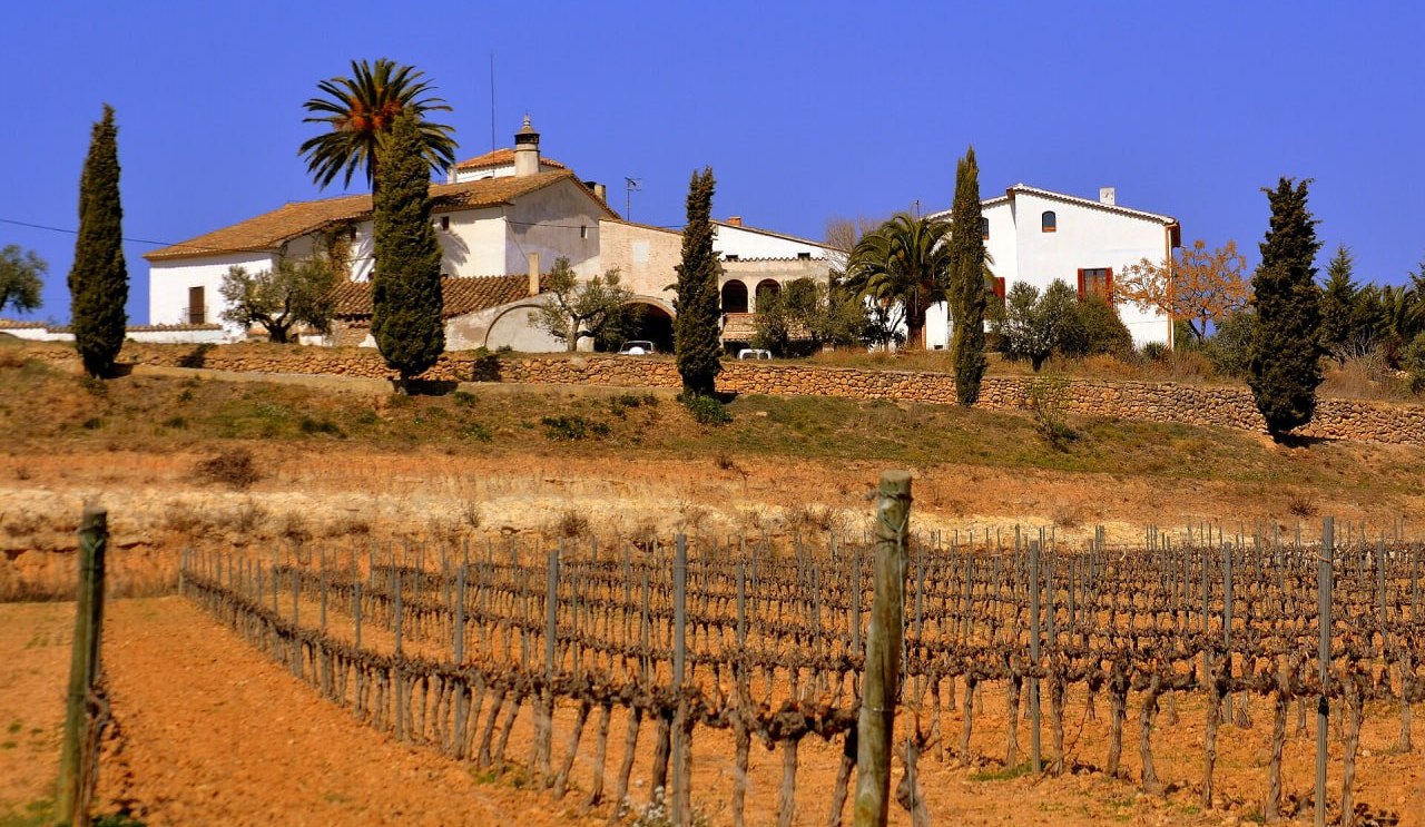 Penedès (cellers)