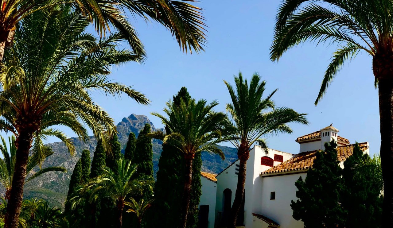 Palmen und ein weiß gekalktes Haus mit La Concha dahinter, Marbella