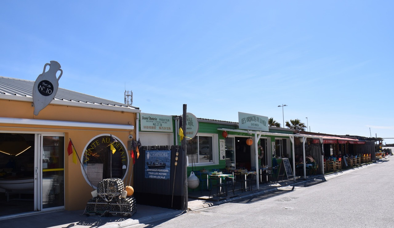 Oyster stalls with terraces by the Salses-Leucate lagoon