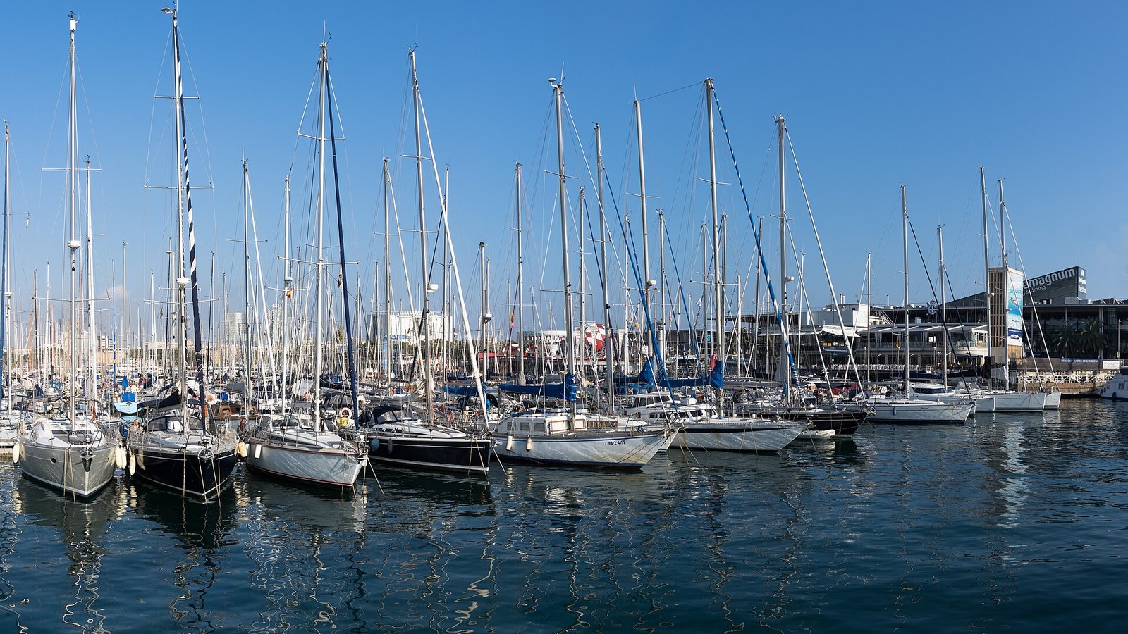 Marina Port Vell: masts and the waterfront