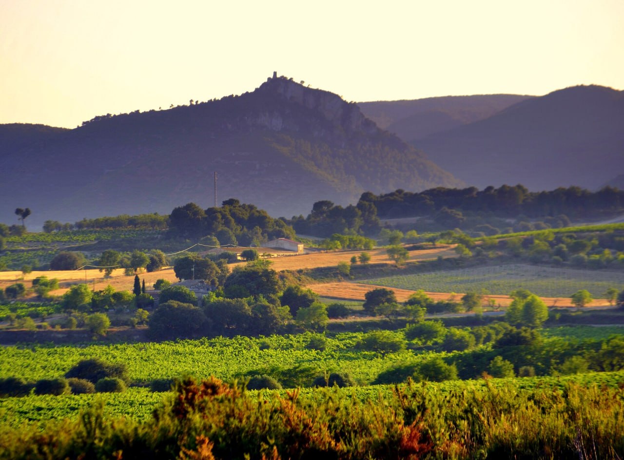 Penedès hills at sunset
