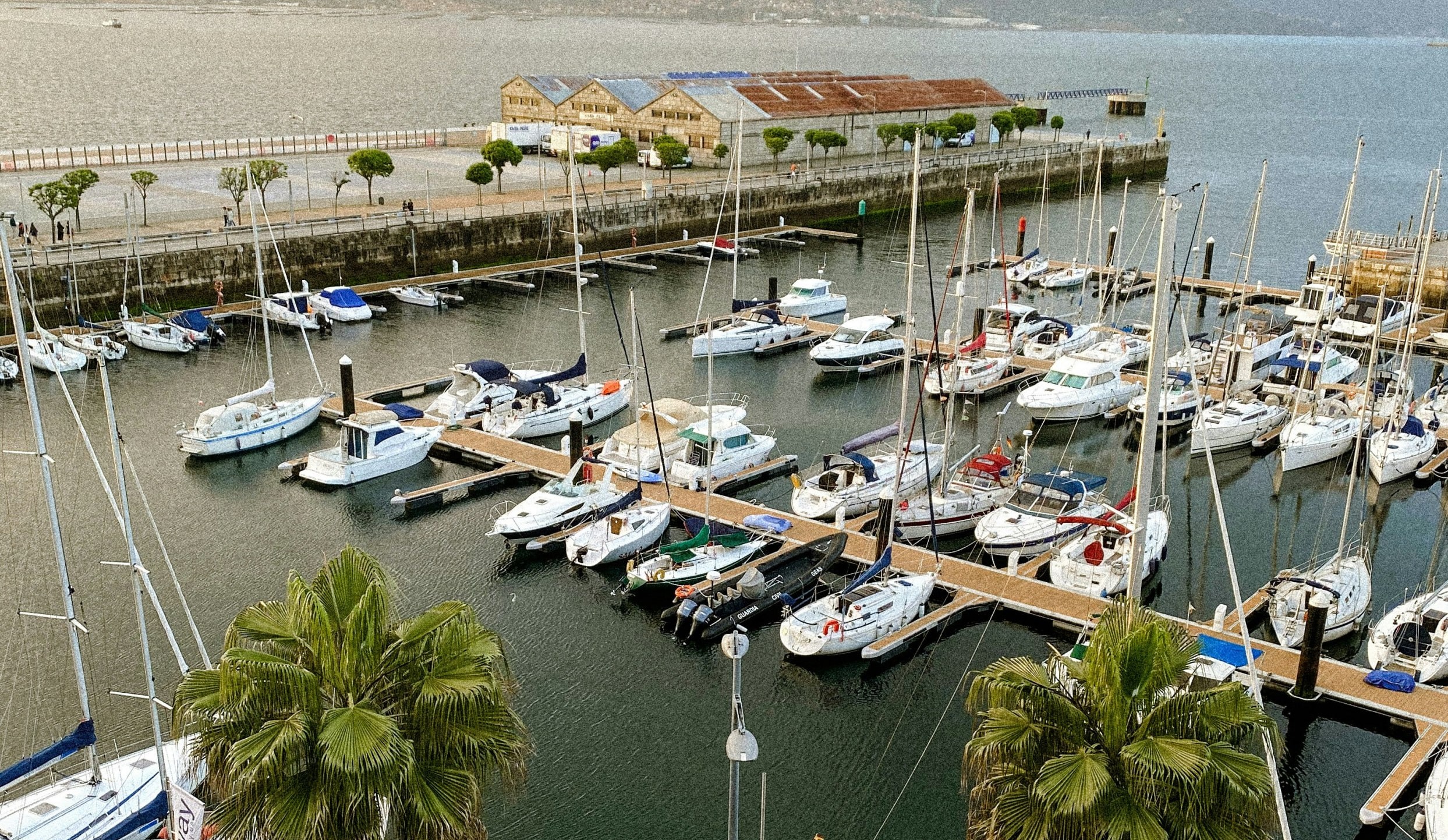 El port esportiu de Vigo amb velers i les palmeres del passeig