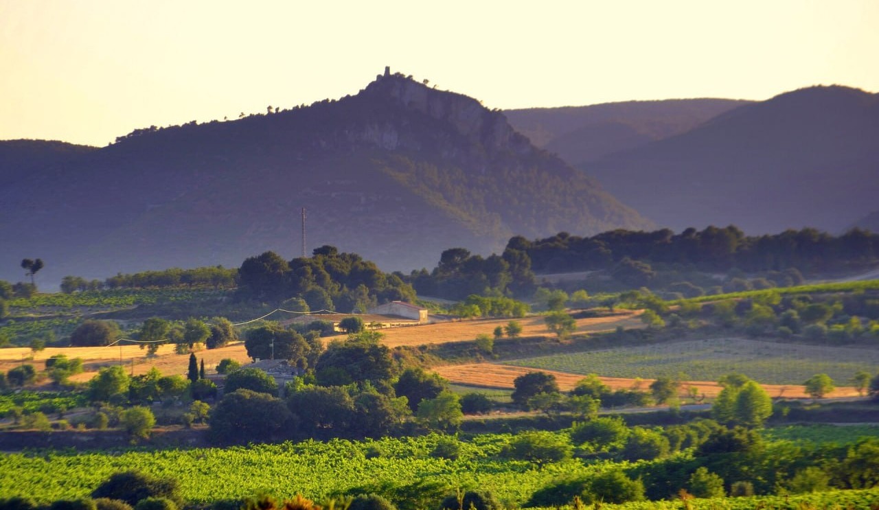 Del puerto de cruceros de Barcelona a las bodegas del Penedès