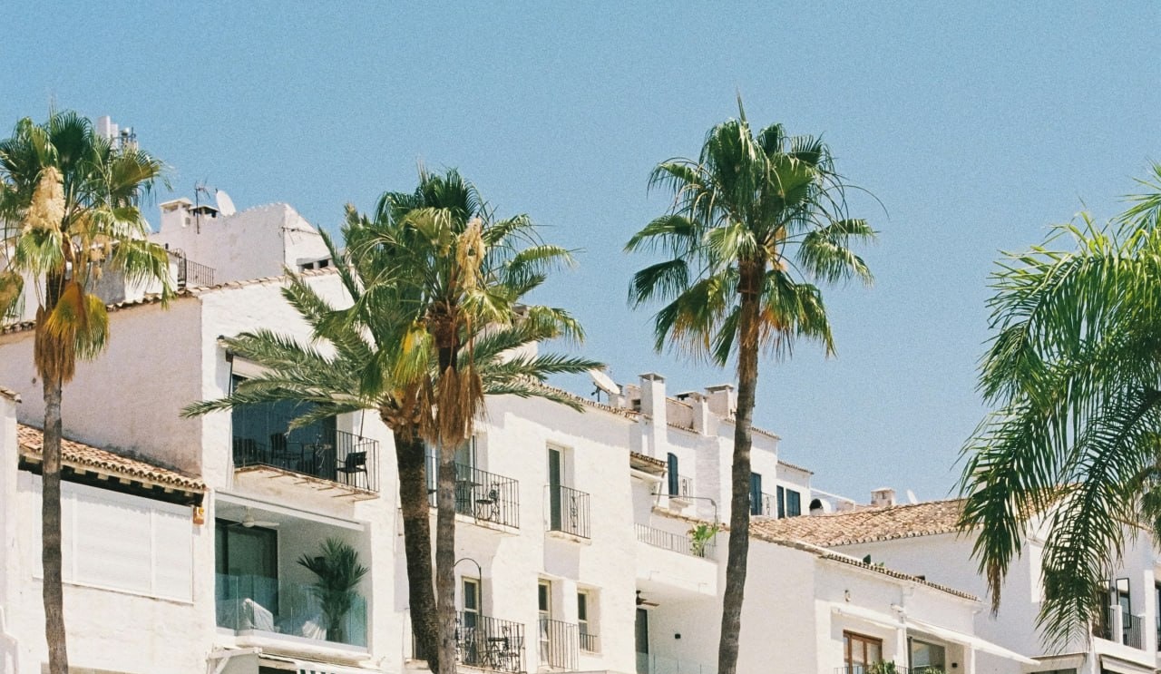 Palmeres i edificis blancs a Puerto Banús