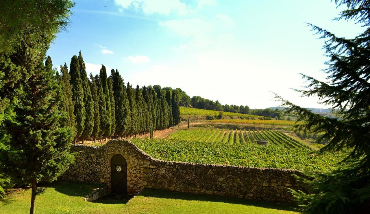 Penedès (cellers)