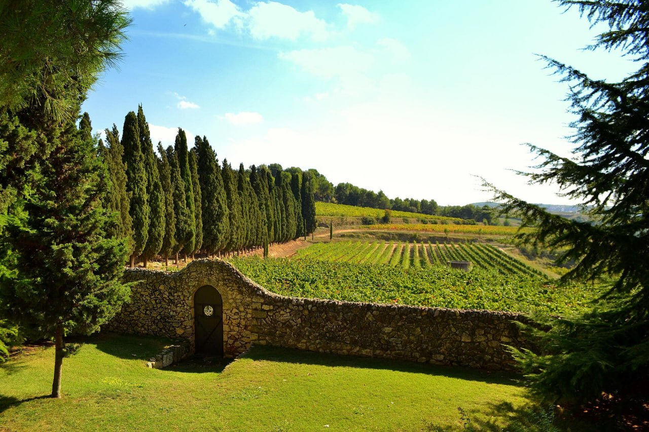 Trasllat de Barcelona al Penedès