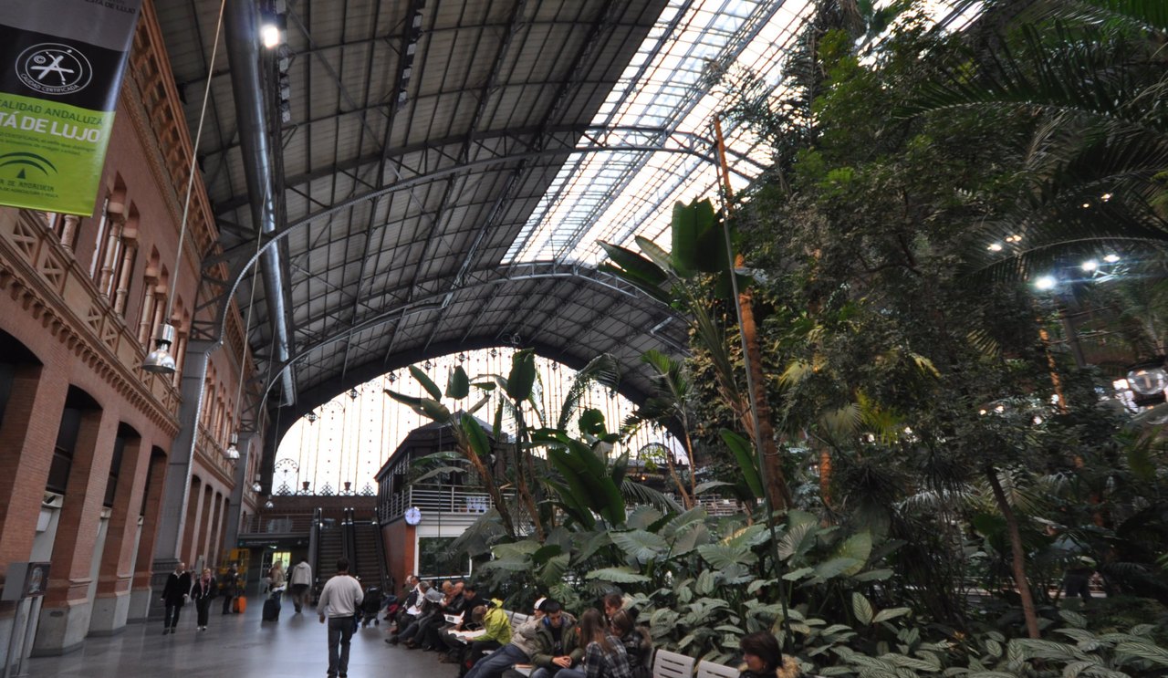 El jardí tropical de l'estació d'Atocha, amb palmeres sota la coberta