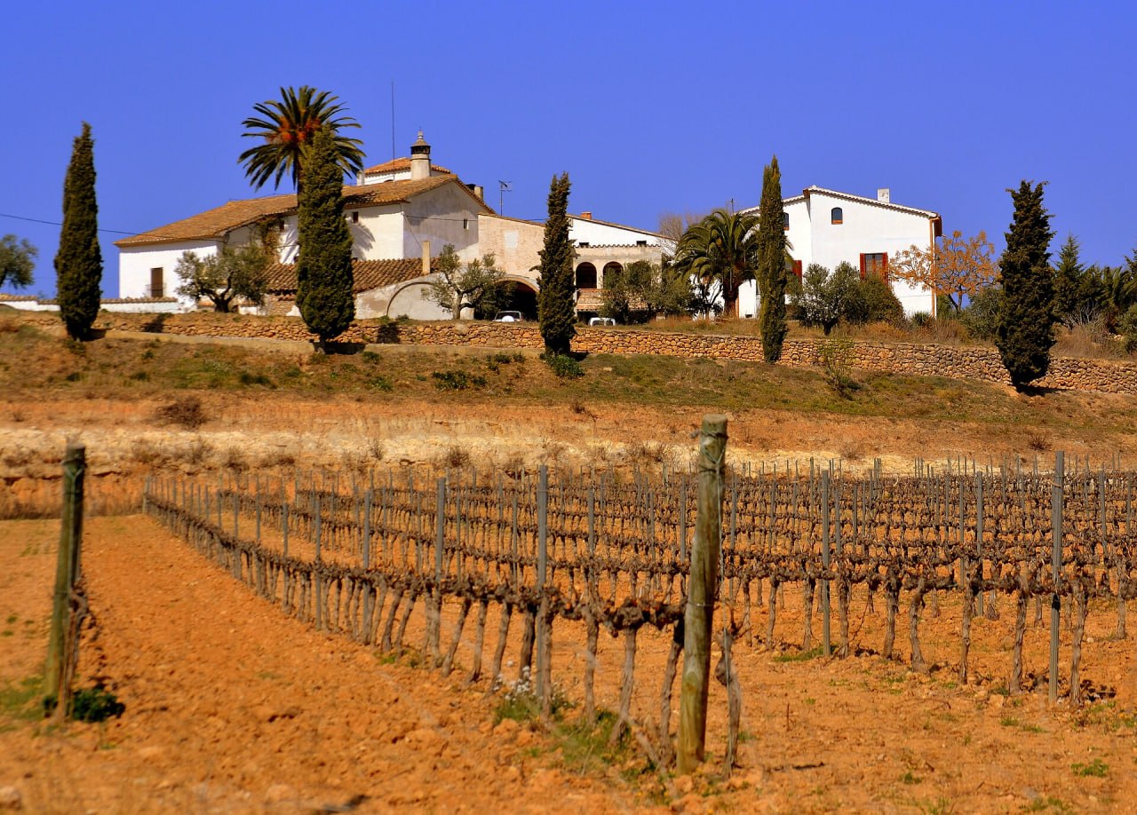 Transfer from Barcelona Airport to Penedès