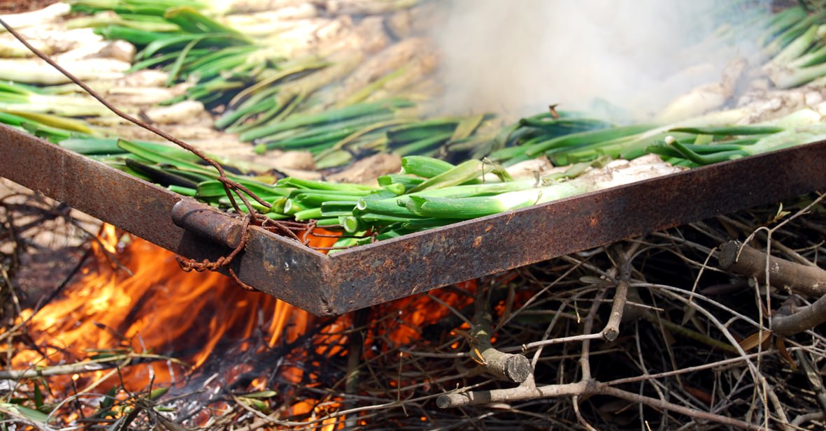 Calçots asándose en la parrilla sobre sarmientos de vid encendidos