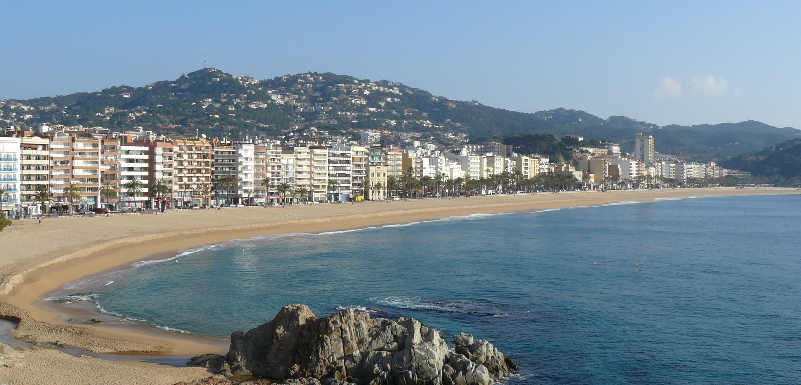 Platja de Lloret de Mar des de l'aire: l'arc de sorra, el passeig amb palmeres i els turons darrere del poble