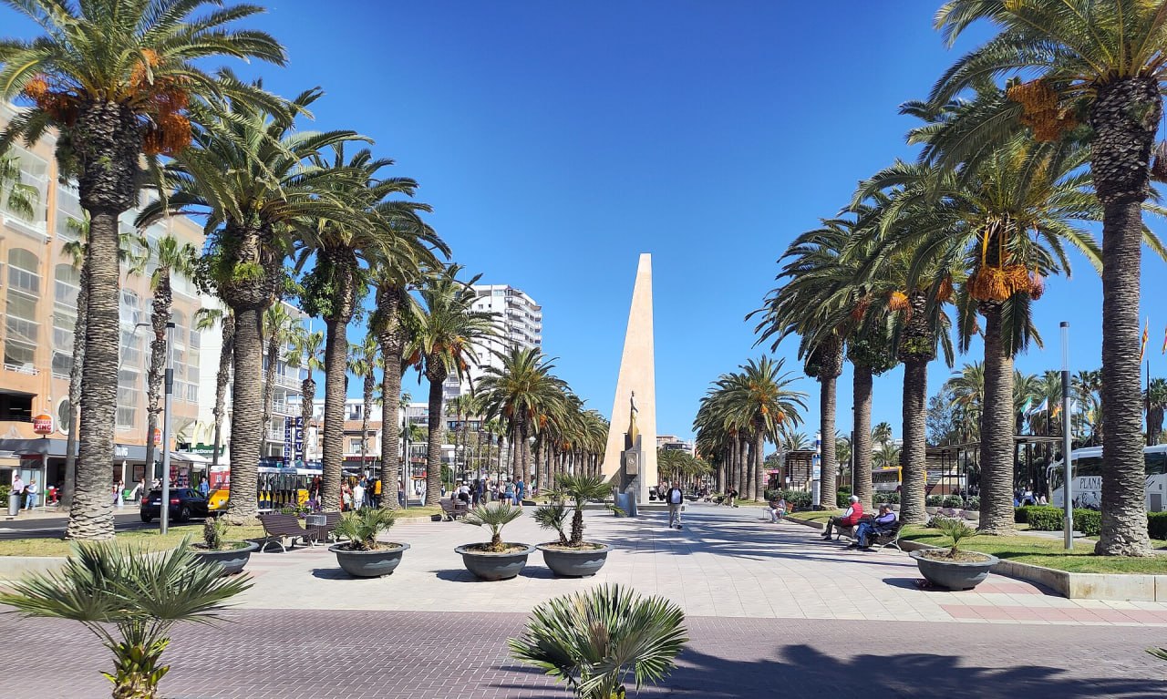 Palmeras en el paseo de Llevant, en Salou